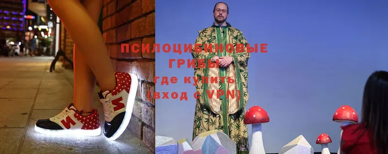 Галлюциногенные грибы MAGIC MUSHROOMS  сколько стоит  Звенигово 